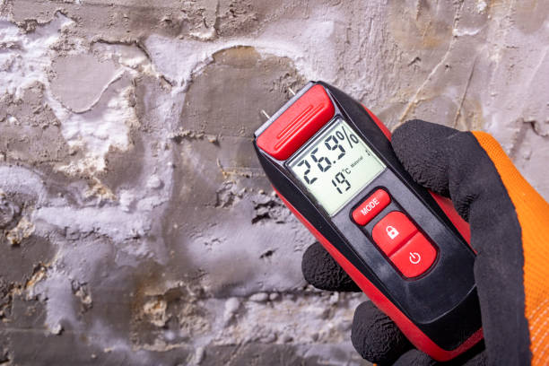 Mold Removal Process in St Louis Park, MN