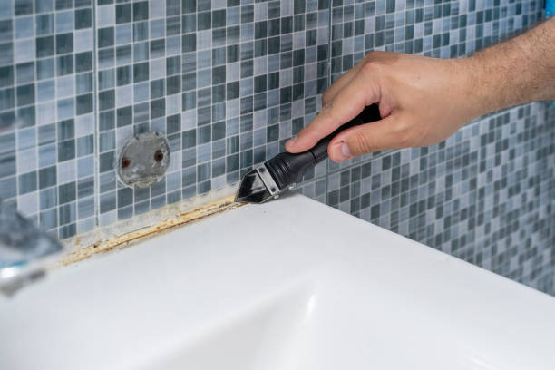 Best Office Mold Removal Services  in St Louis Park, MN